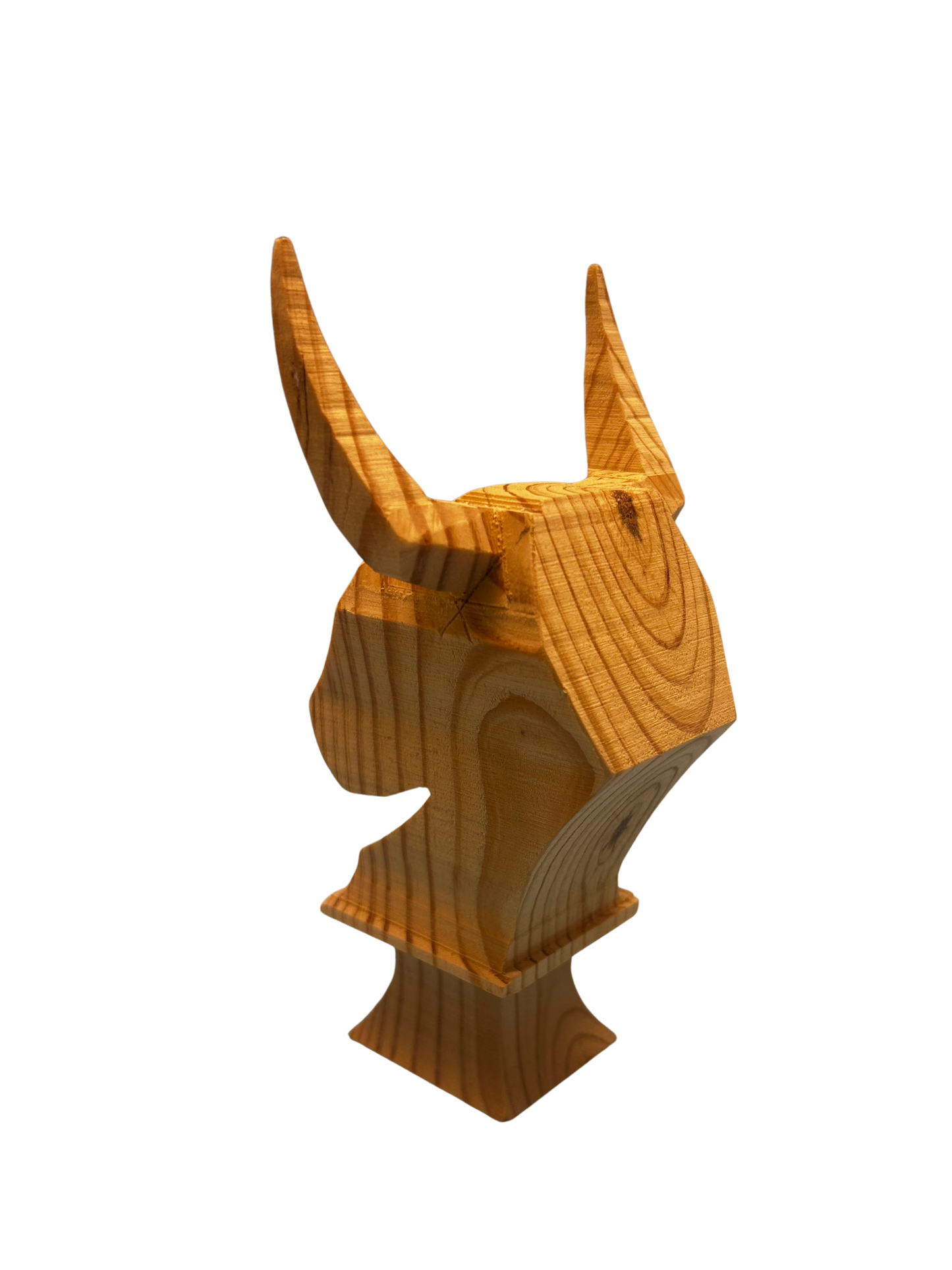 Le trophée du rodéo