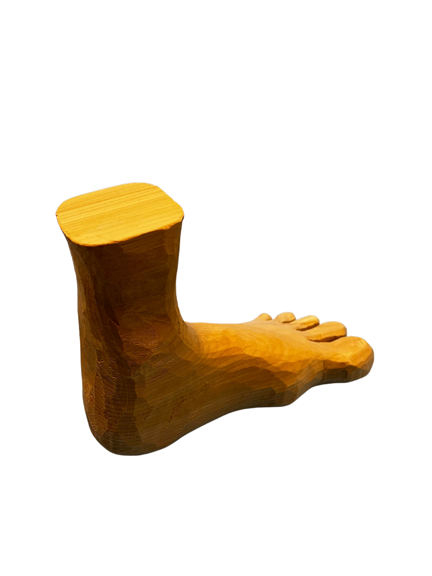 The foot