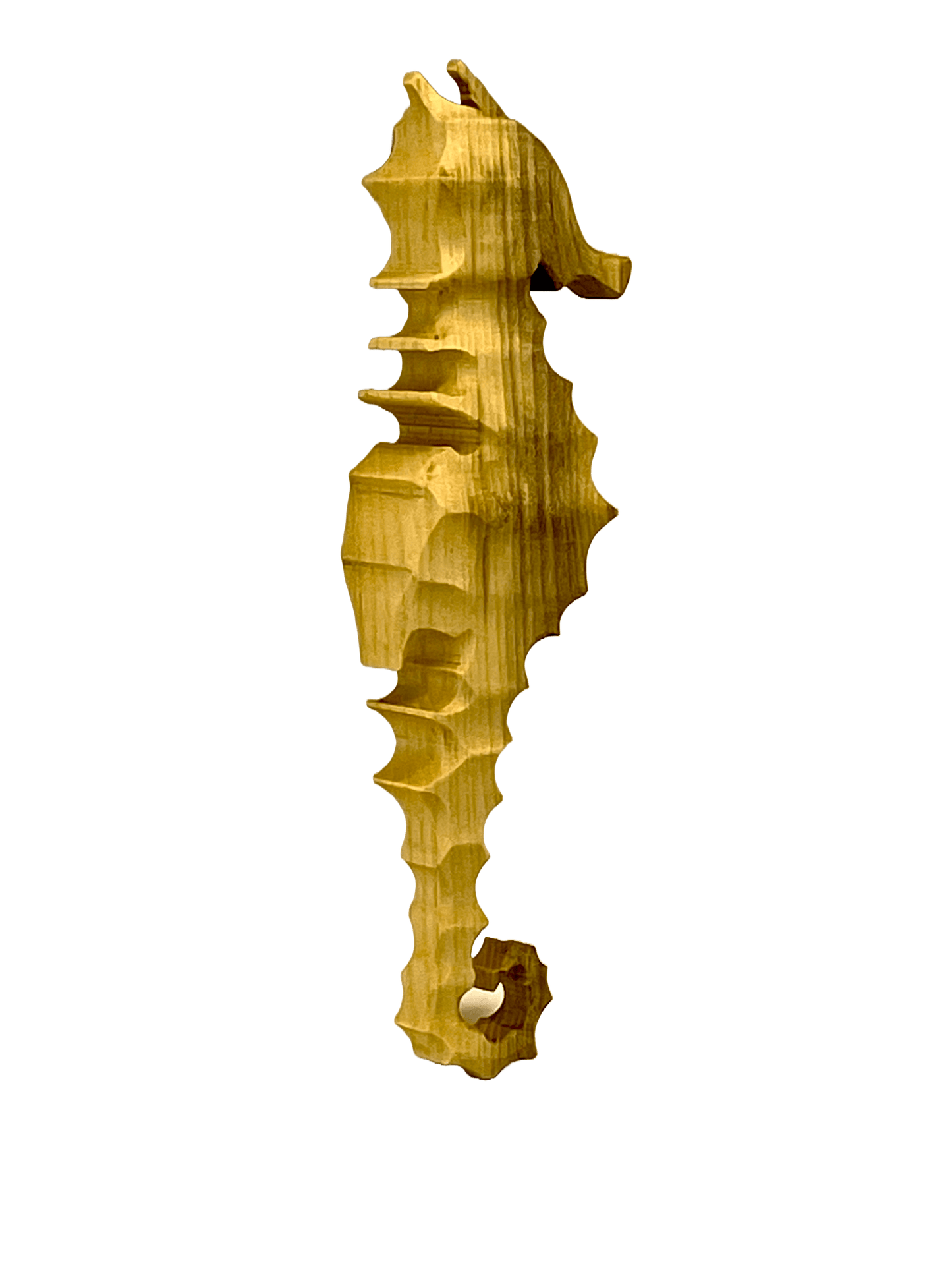 L’hippocampe - Brikologik