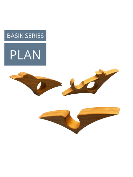 Les bagues de lecture