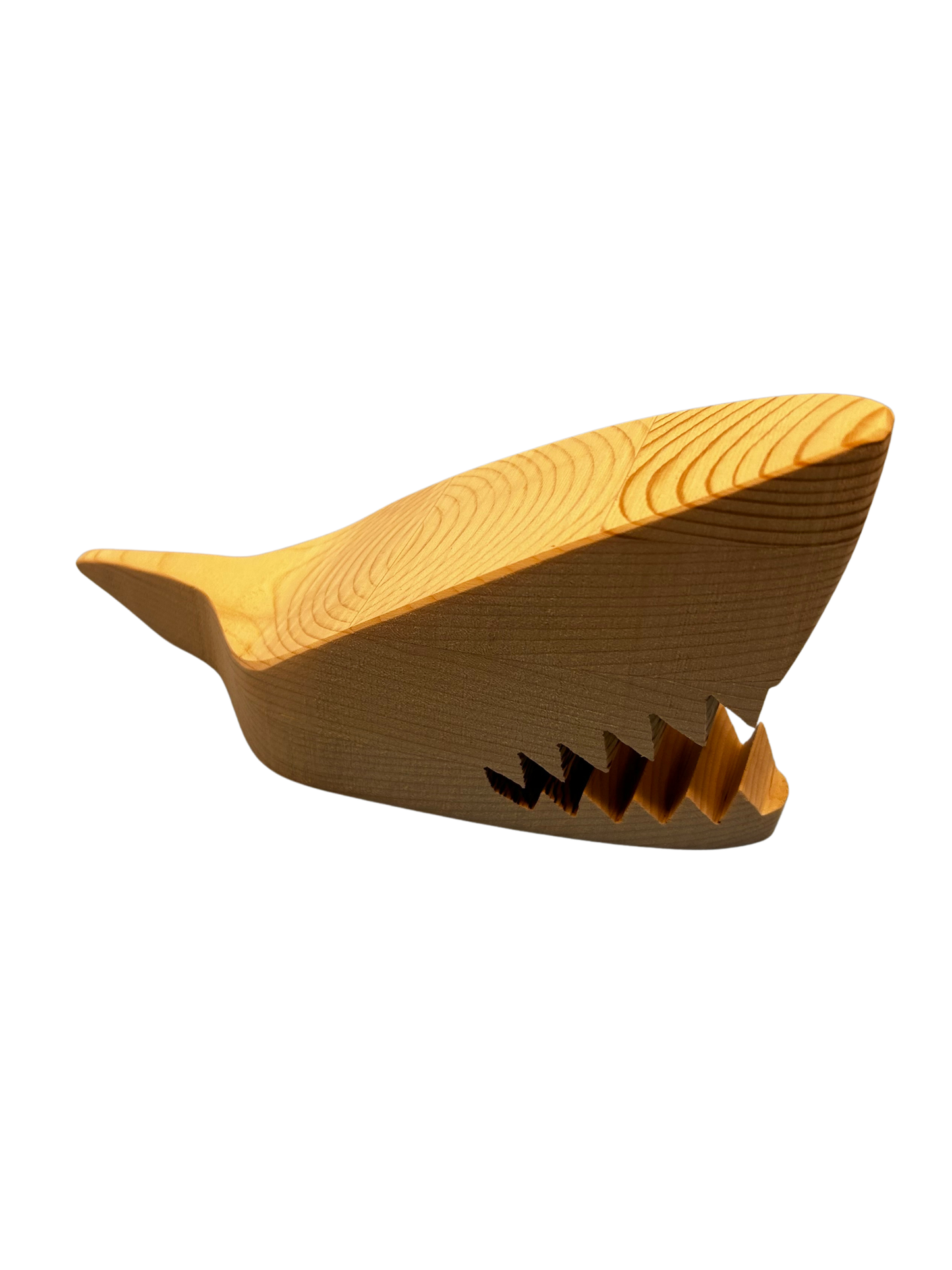 Le requin